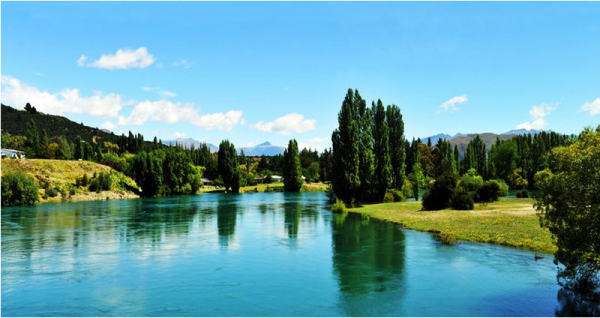 麦卢卡蜂蜜是智商税吗