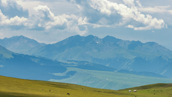 悟性高洞察力强的女生是什么样的
