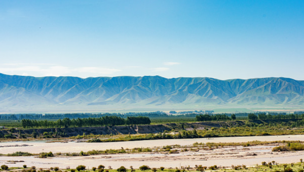 悟性高洞察力强的女生是什么样的