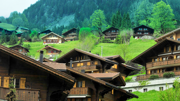 悟性高洞察力强的女生是什么样的