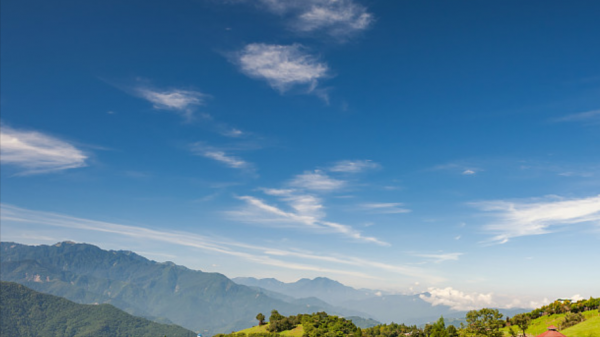 悟性高洞察力强的女生是什么样的