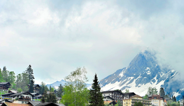 悟性高洞察力强的女生是什么样的