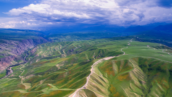 悟性高洞察力强的女生是什么样的