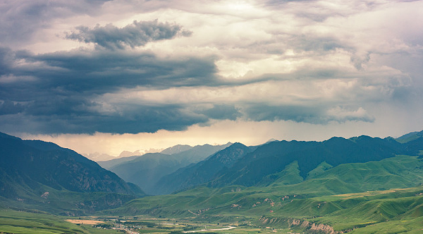 悟性高洞察力强的女生是什么样的
