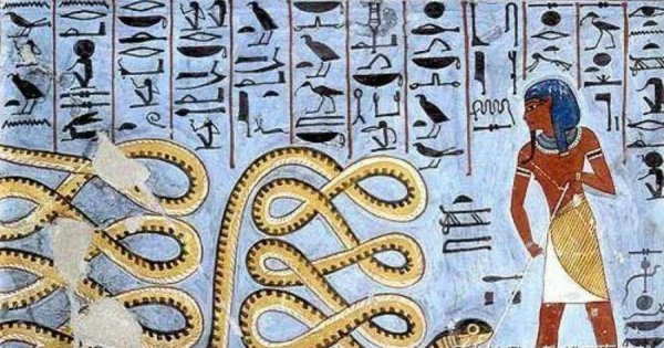 1000万个头的蛇是什么