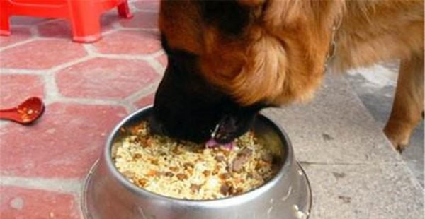 狗粮的制作方法及配料