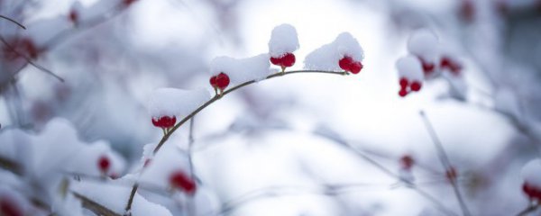 冬季上火要注意什么东西