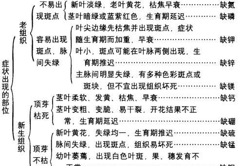 微量元素肥的主要作用和功能