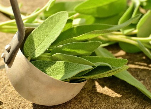 茶叶梗能去甲醛吗