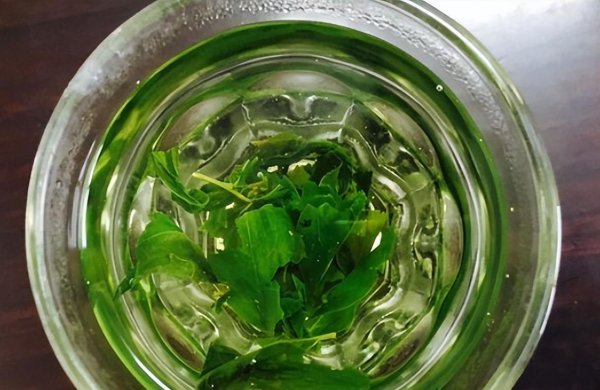 江西茶叶品牌十大名茶图片