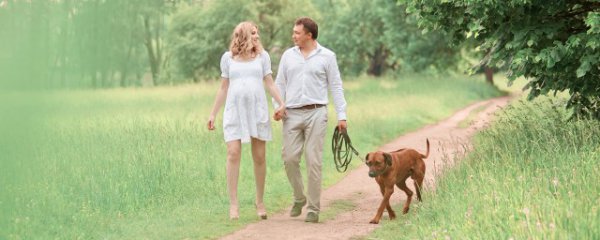 正确养狗狗的五大要点