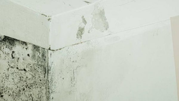 买房为什么选边户不选中间户