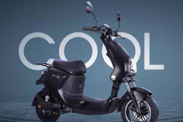 电瓶车品牌排行榜十大名牌