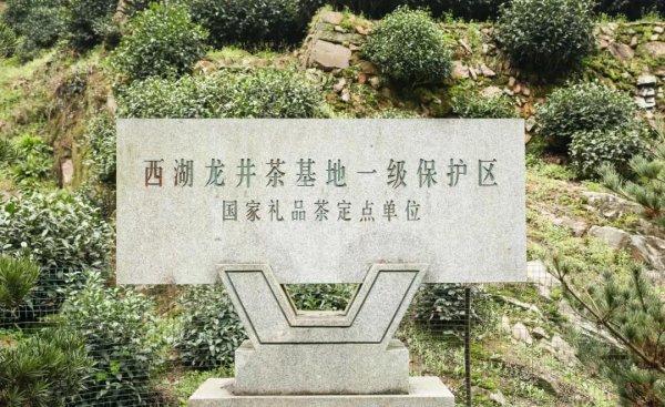 西湖龙井产于哪个地方