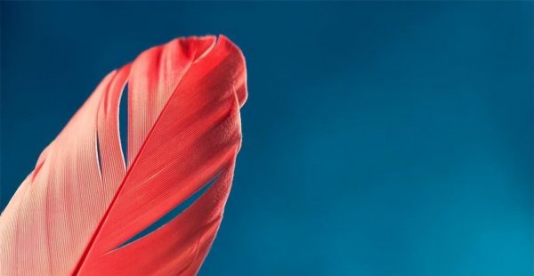 十二星座哪个星座智商最高