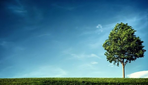 十二星座哪个星座智商最高