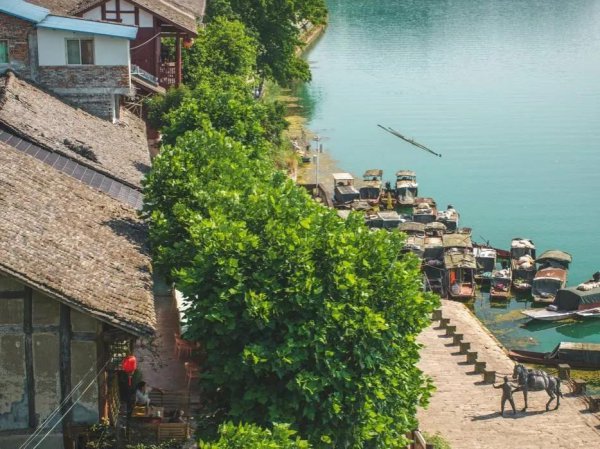 南充一日游必到景点