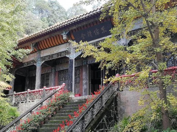 南充一日游必到景点