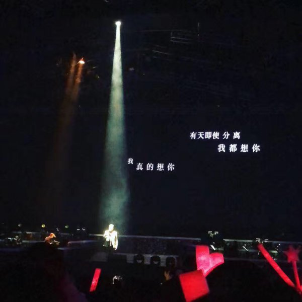 一生中最爱表达的是什么情感