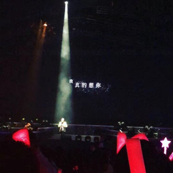 一生中最爱表达的是什么情感