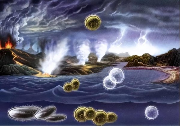 人类灭绝了下一代是什么