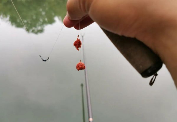 蓝鲫钓鱼的最佳配方有几种