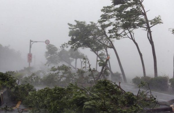 台风形成的原因是什么