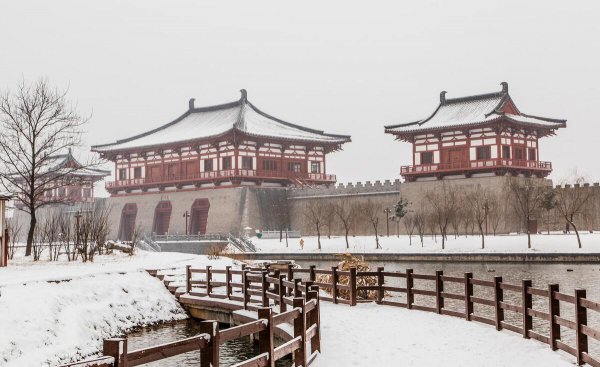 河南科技大学怎么样