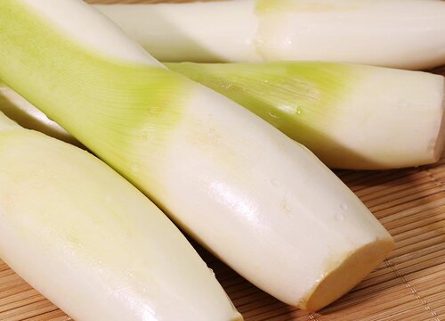 茭白种植时间和方法