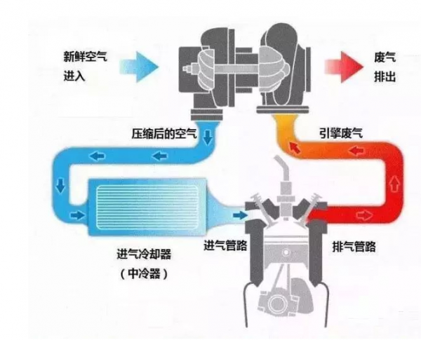 t和l的车有什么区别