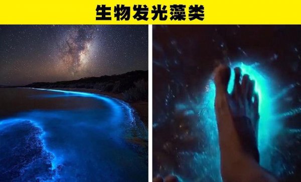 大自然有哪些神奇的自然现象