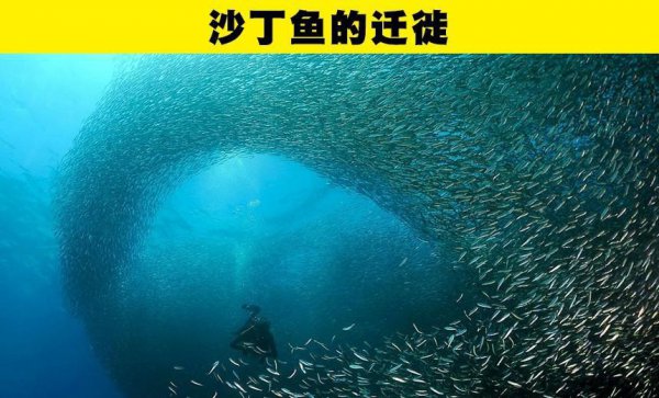 大自然有哪些神奇的自然现象