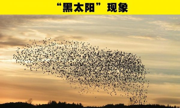 大自然有哪些神奇的自然现象