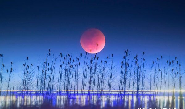 湖光秋月两相和潭面无风镜未磨