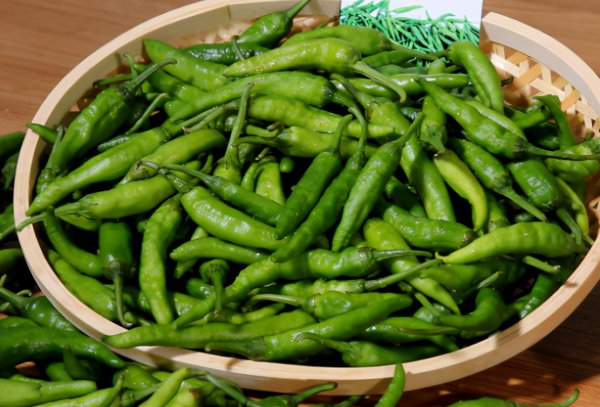 樟树港辣椒为什么贵