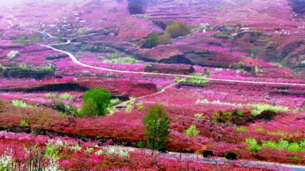 蒙阴县是哪个省哪个市