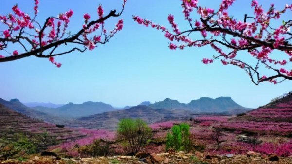 蒙阴县是哪个省哪个市