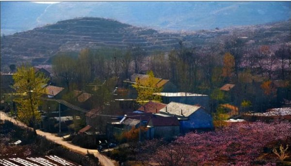 蒙阴县是哪个省哪个市