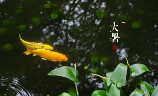 国内避暑胜地有哪些