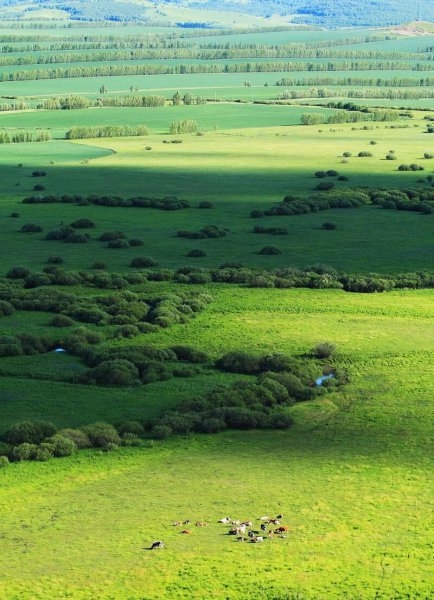 国内避暑胜地有哪些