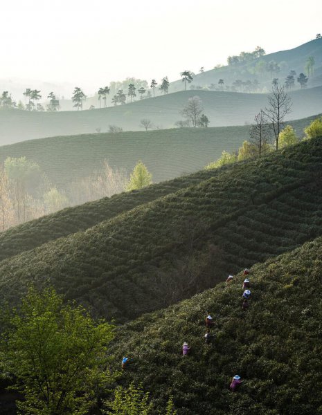 国内避暑胜地有哪些