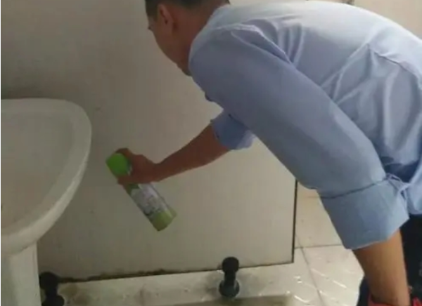 厕所的蛆虫老往上爬怎么解决