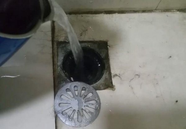 厕所的蛆虫老往上爬怎么解决