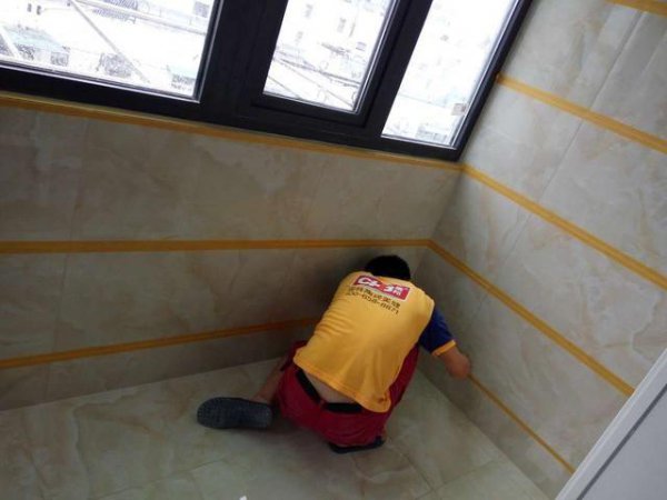 厕所的蛆虫老往上爬怎么解决