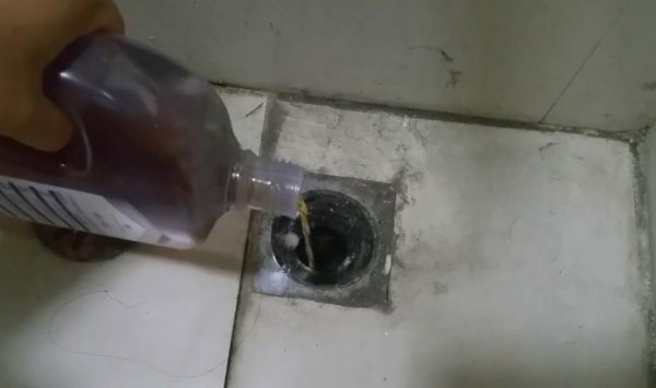 厕所的蛆虫老往上爬怎么解决