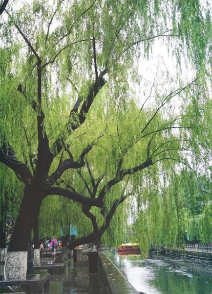 中国水城是哪个城市