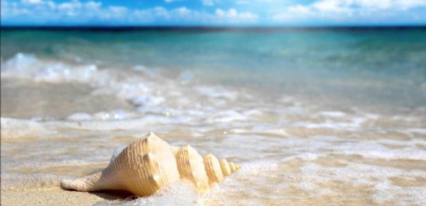 金牛男喜欢一个人最明显的特征