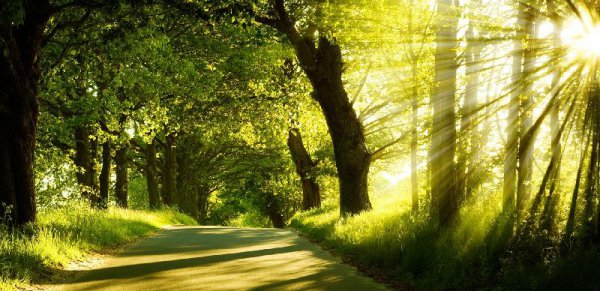 金牛男喜欢一个人最明显的特征