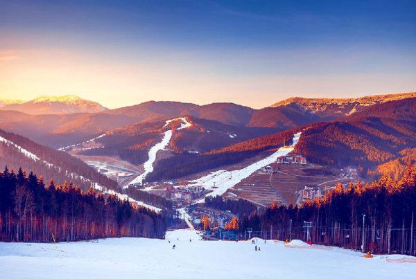 金牛男喜欢一个人最明显的特征