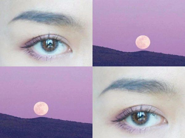 橄榄皮算是白皮还是黄皮